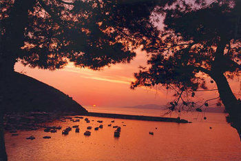 Bed & Breakfast Antica Dimora Palinuro